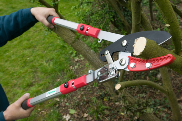 pruning loppers